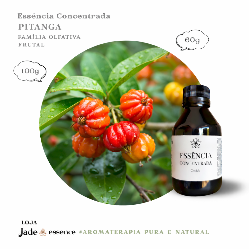 Essência Concentrada Pitanga - Linha Universal - 100 ml